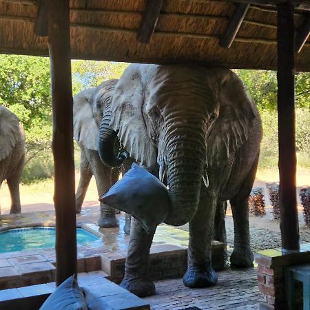 Twiga Lodge Mabalingwe Bela-Bela Ngoại thất bức ảnh