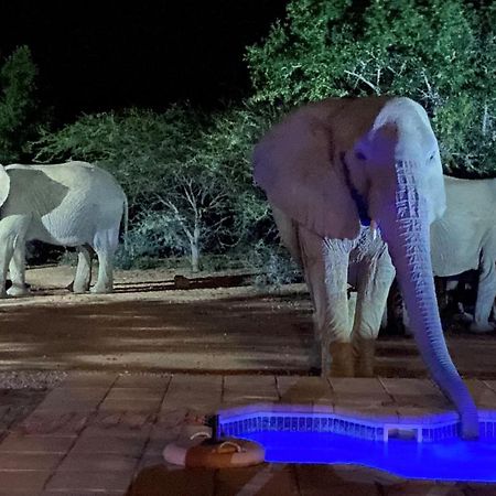 Twiga Lodge Mabalingwe Bela-Bela Ngoại thất bức ảnh
