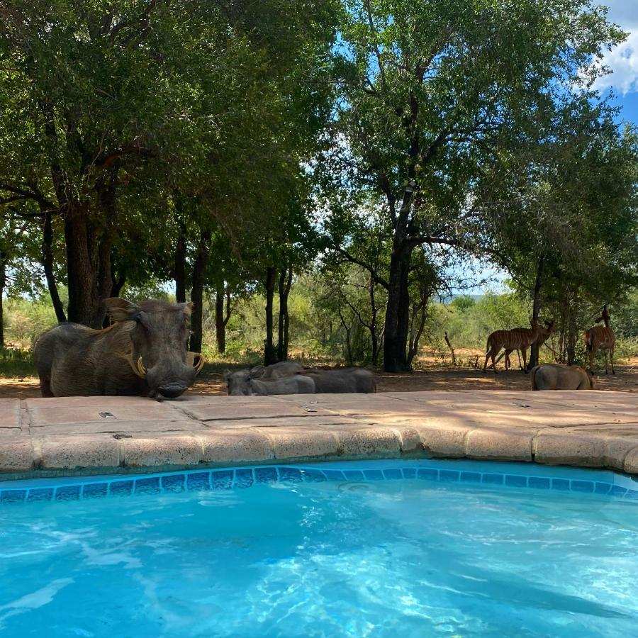 Twiga Lodge Mabalingwe Bela-Bela Ngoại thất bức ảnh