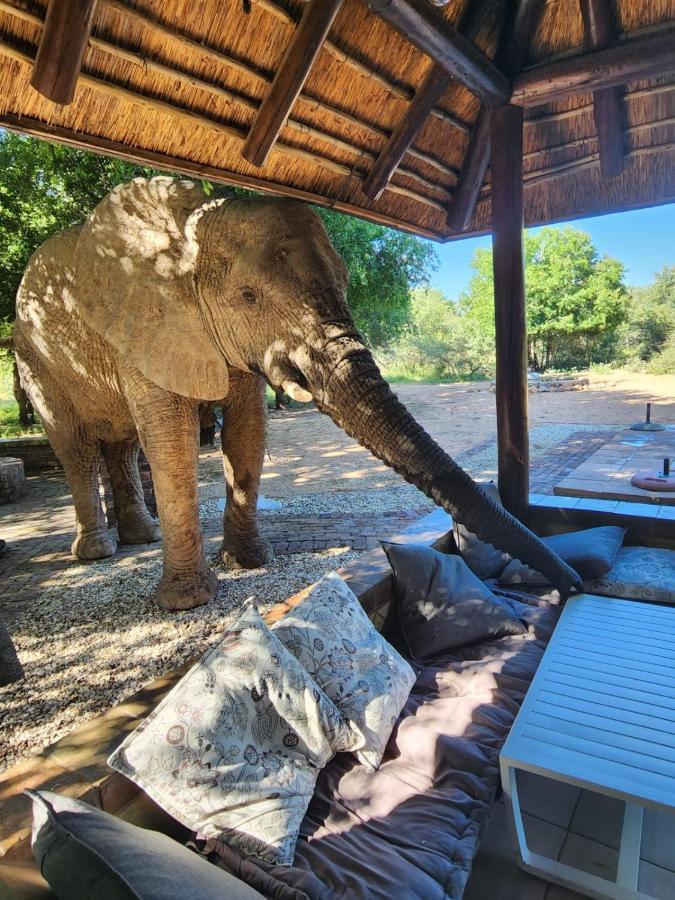 Twiga Lodge Mabalingwe Bela-Bela Ngoại thất bức ảnh
