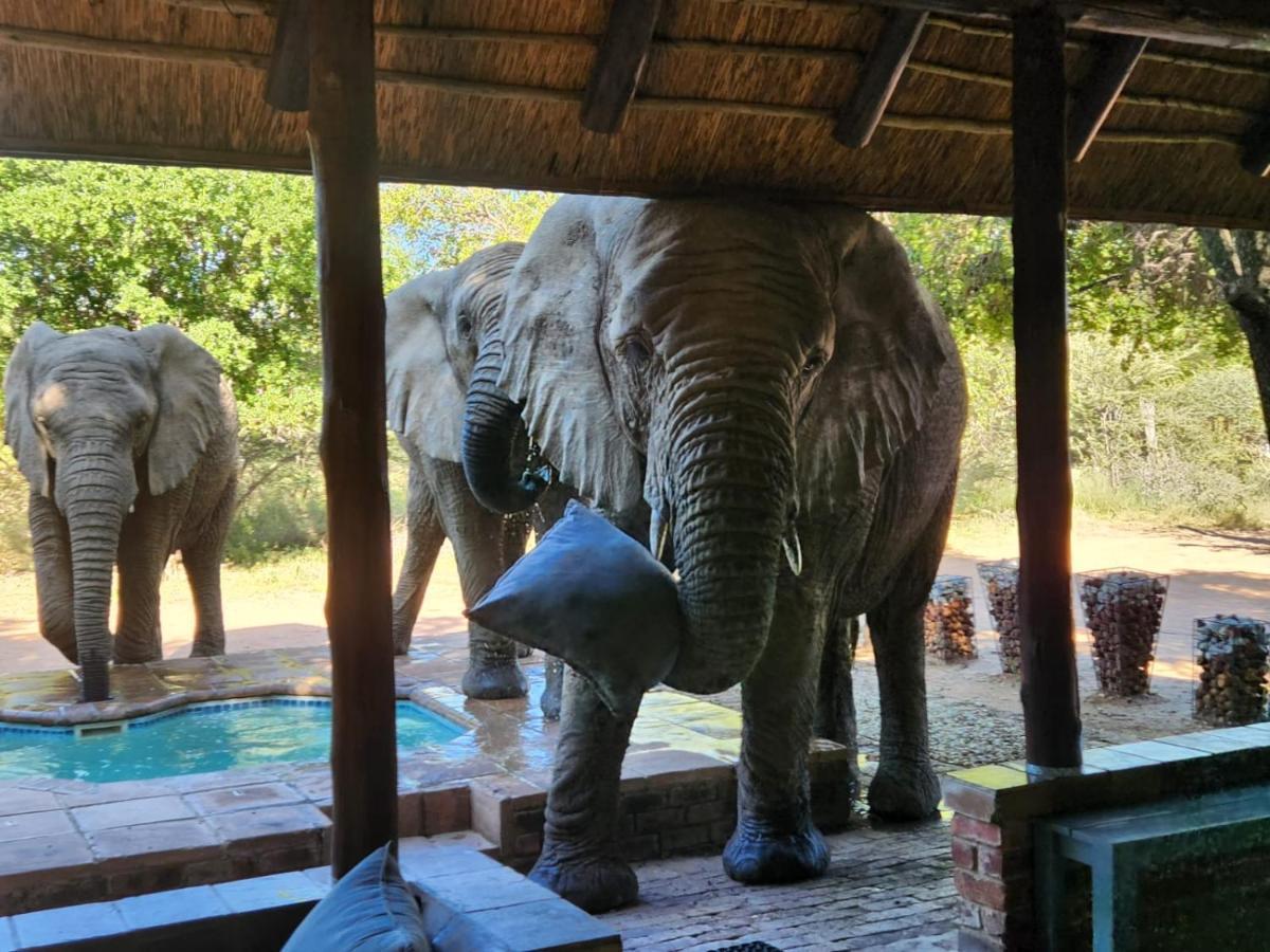 Twiga Lodge Mabalingwe Bela-Bela Ngoại thất bức ảnh
