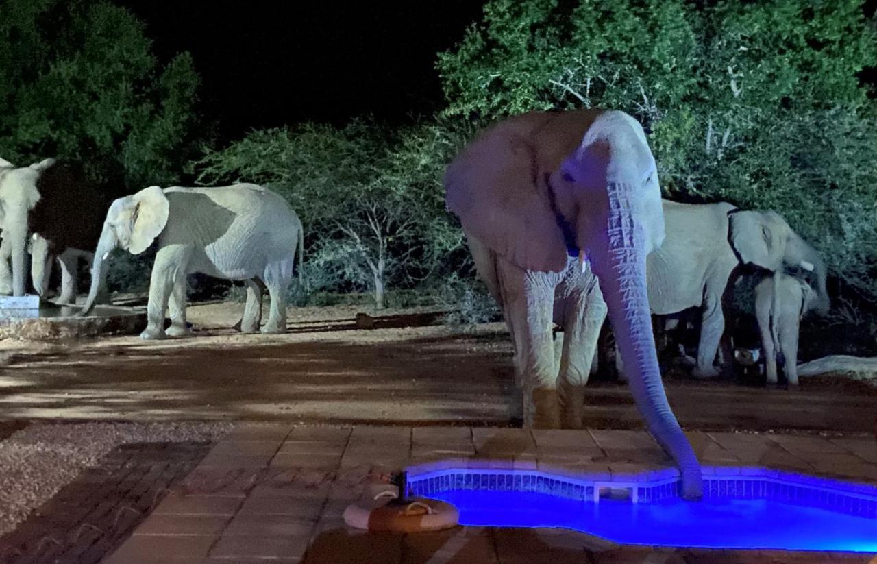 Twiga Lodge Mabalingwe Bela-Bela Ngoại thất bức ảnh